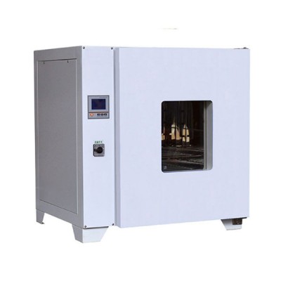 LAB-600电热恒温干燥箱