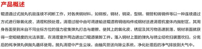 辊道通过式抛丸清理机产品介绍