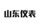 山东仪表科技有限公司