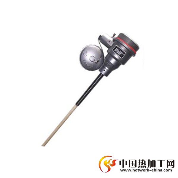 防爆型铂铑热电偶